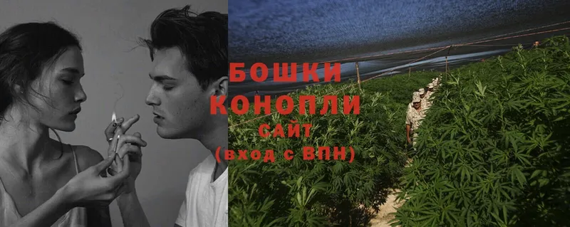 shop какой сайт  Лодейное Поле  Канабис Ganja 